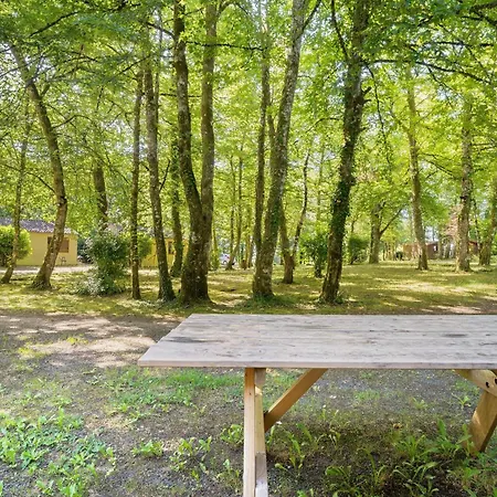 7.les Rossignols Option Clim-4 Pers Feriehus Calviac